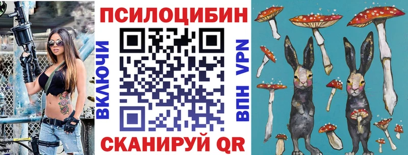 Псилоцибиновые грибы Psilocybine cubensis  Туапсе 
